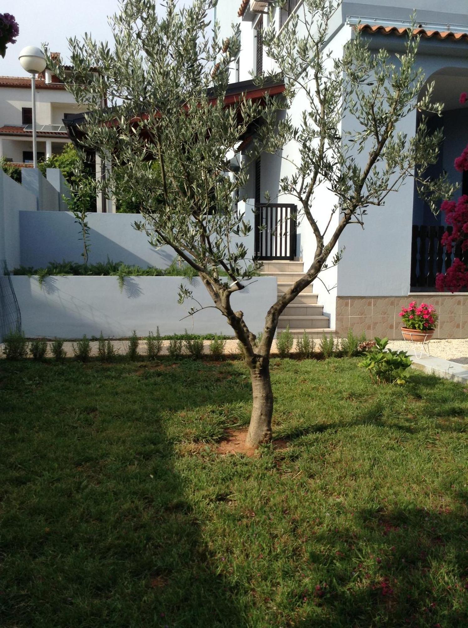 Apartamento The Blue House Vinkuran Exterior foto